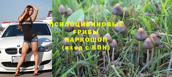 дживик Белоозёрский