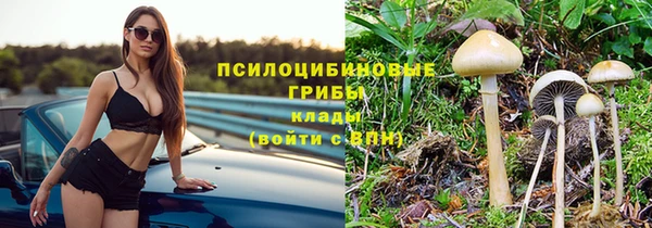 дживик Белоозёрский