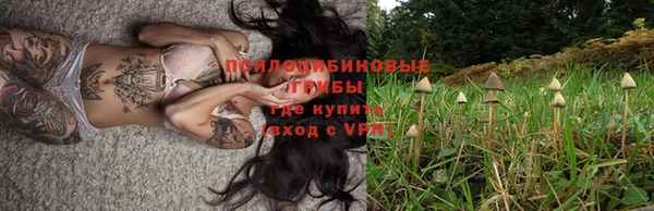дживик Белоозёрский