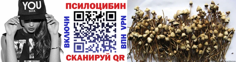 Псилоцибиновые грибы Psilocybine cubensis  Горнозаводск 